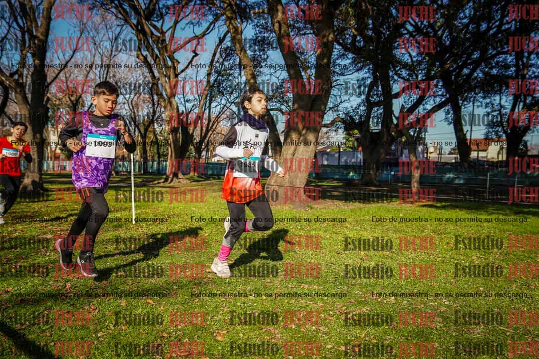 Fotos en el circuito