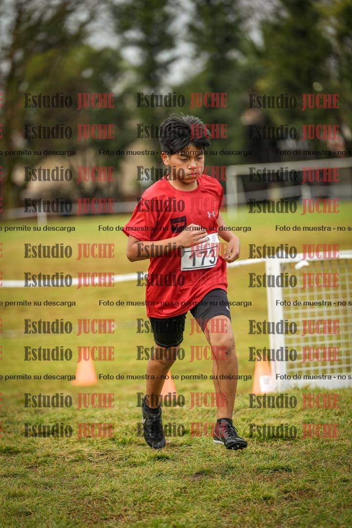 Fotos en el circuito