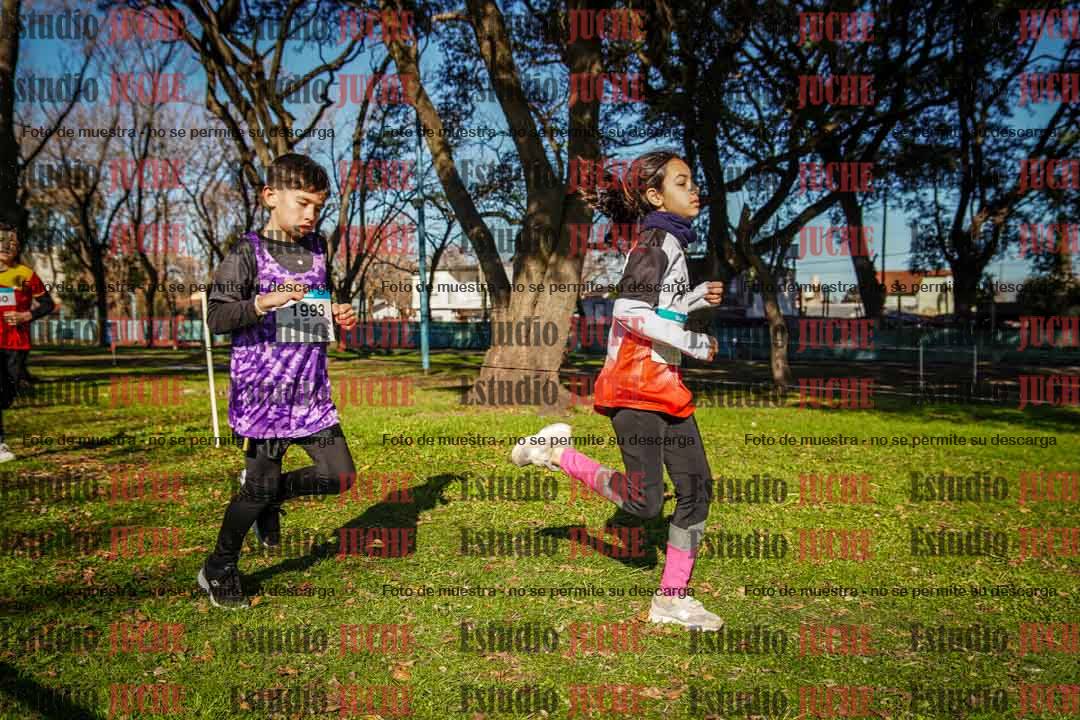 Fotos en el circuito