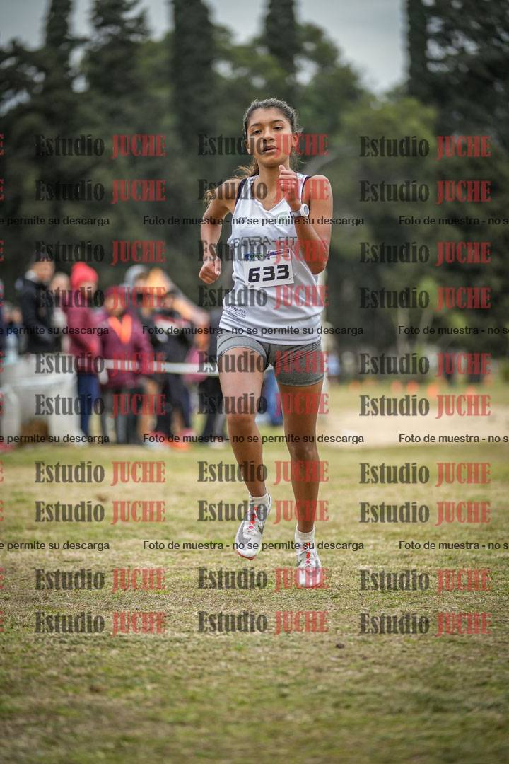 Fotos de la llegada