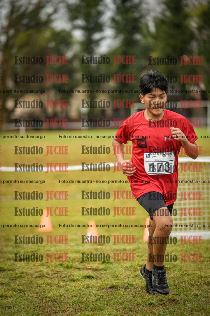 Fotos en el circuito