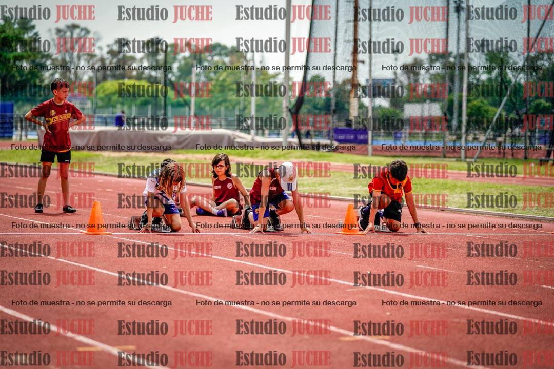 Fotos de los 60 m con vallas de varones