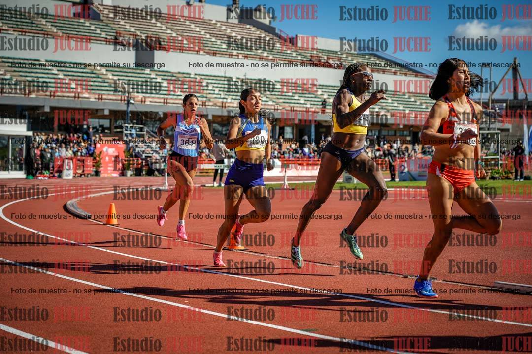 Fotos de los 800 m llanos de mujeres