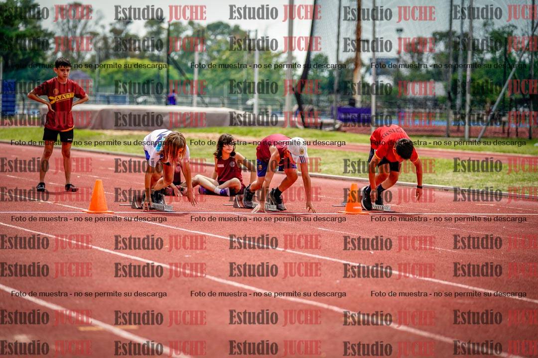 Fotos de los 60 m con vallas de varones