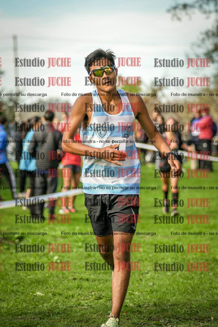 Fotos de la llegada del cross de 6000 m