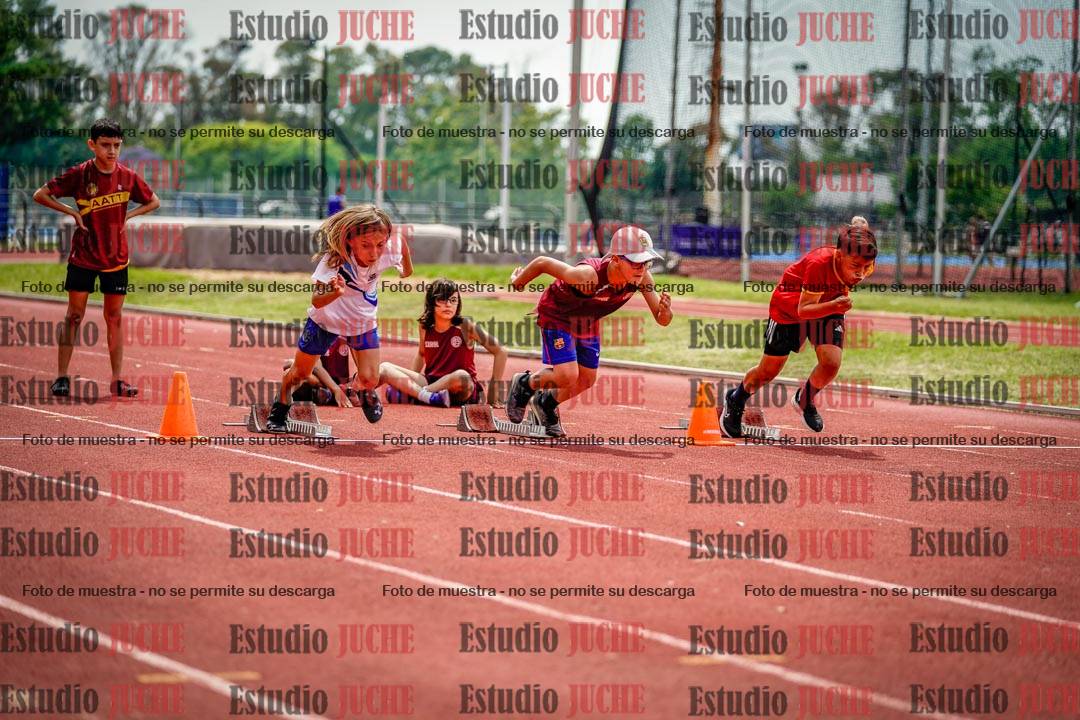 Fotos de los 60 m con vallas de varones