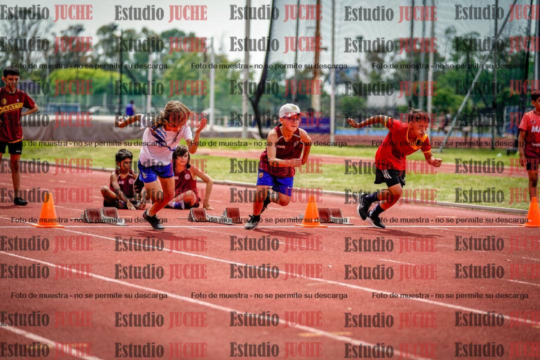 Fotos de los 60 m con vallas de varones