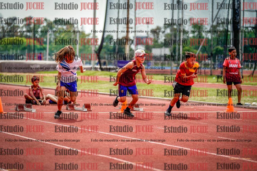 Fotos de los 60 m con vallas de varones