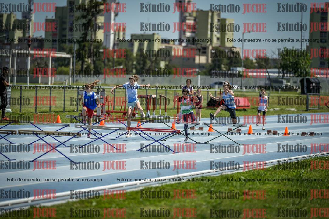 Fotos de los 60 m con vallas de mujeres