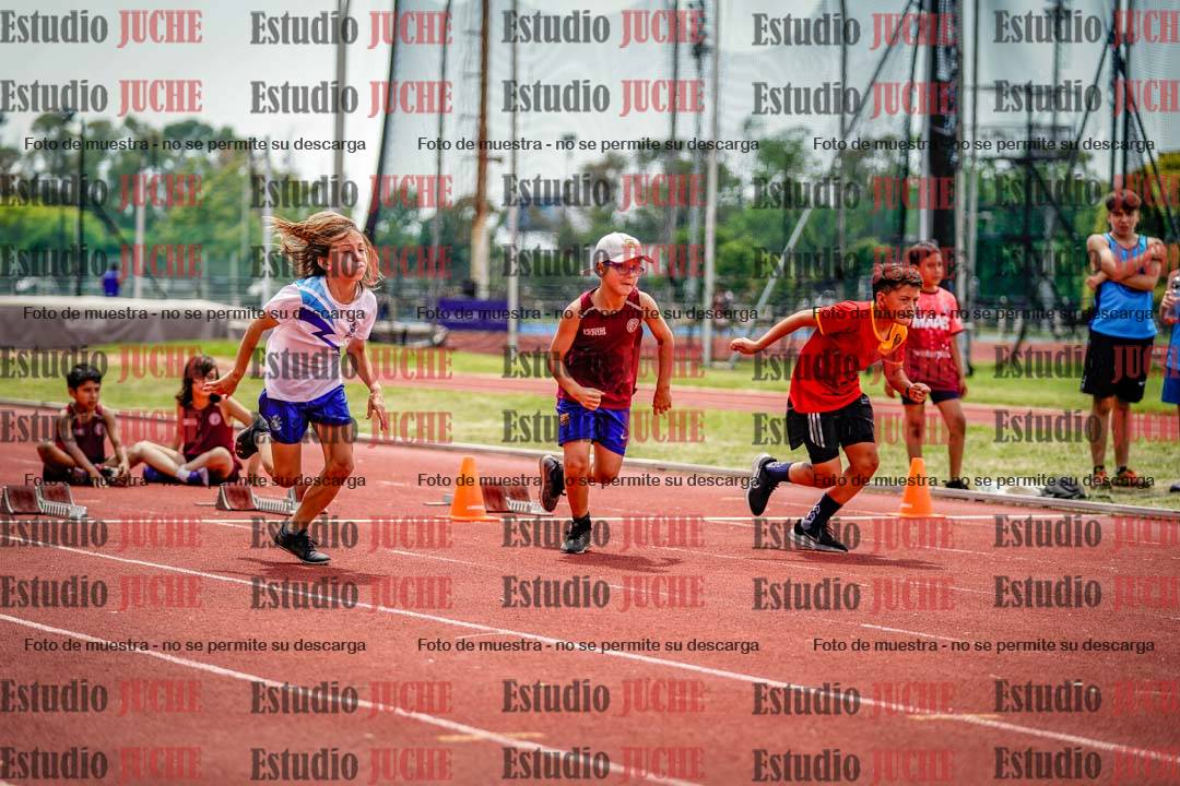 Fotos de los 60 m con vallas de varones