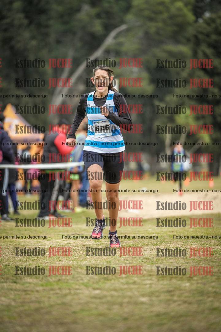 Fotos de la llegada