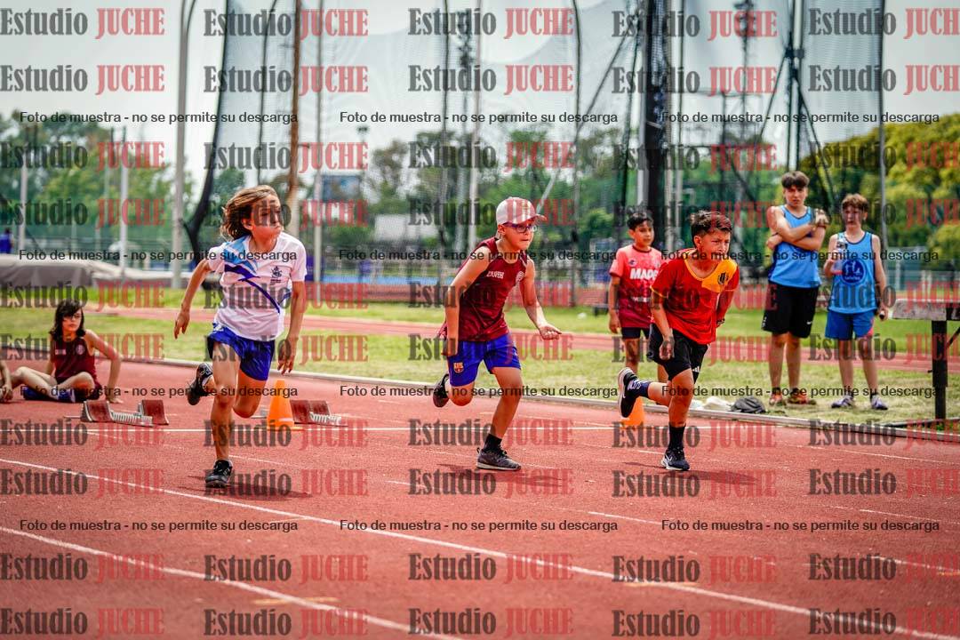 Fotos de los 60 m con vallas de varones
