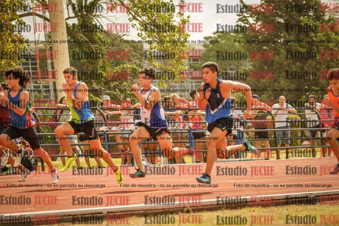 Fotos de los 100 m llanos de varones