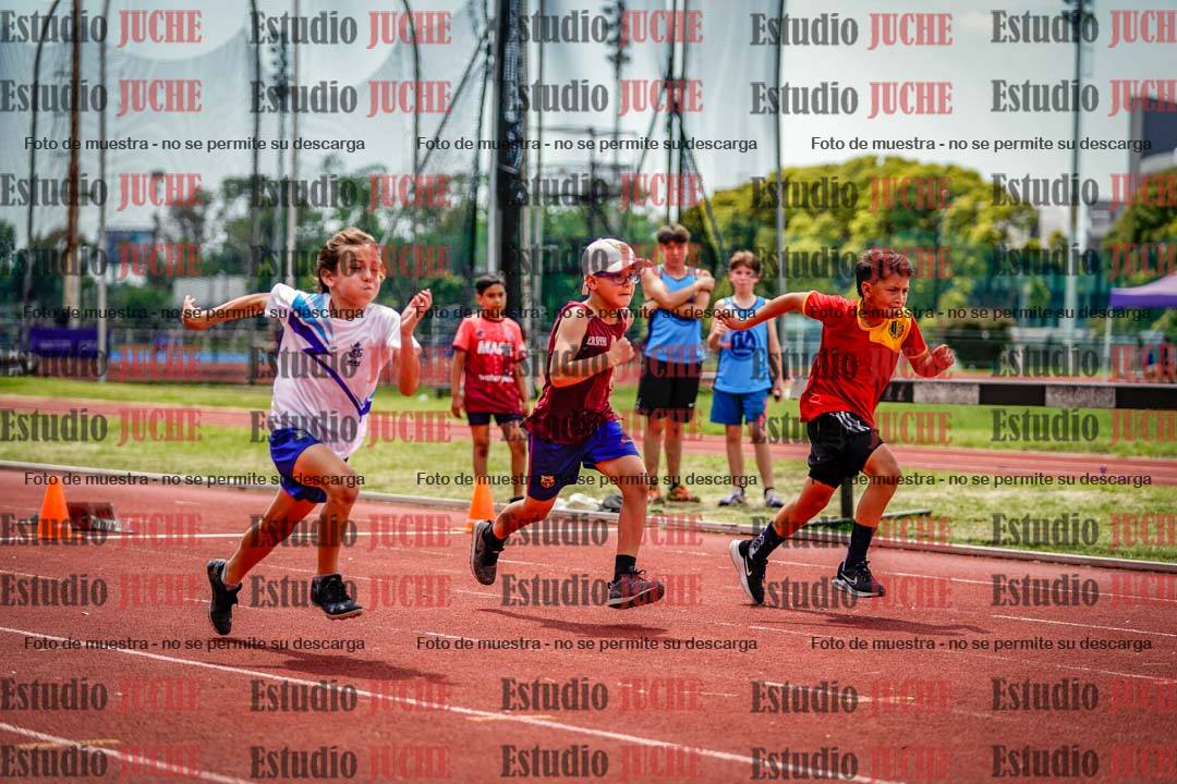 Fotos de los 60 m con vallas de varones