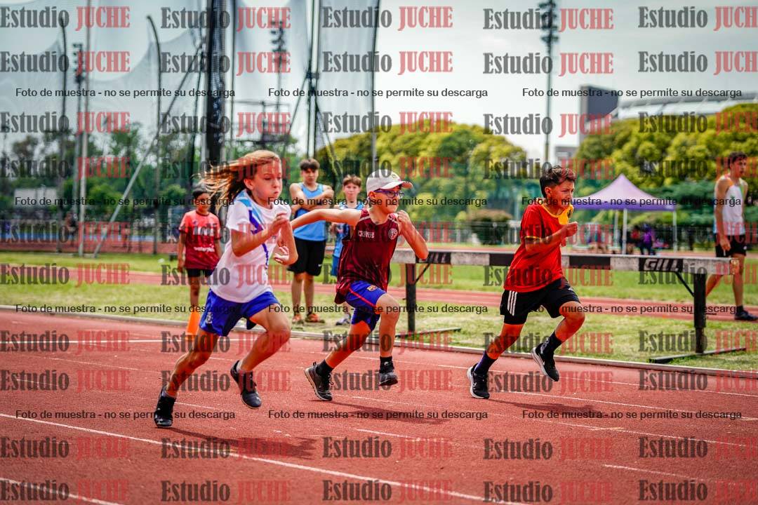 Fotos de los 60 m con vallas de varones