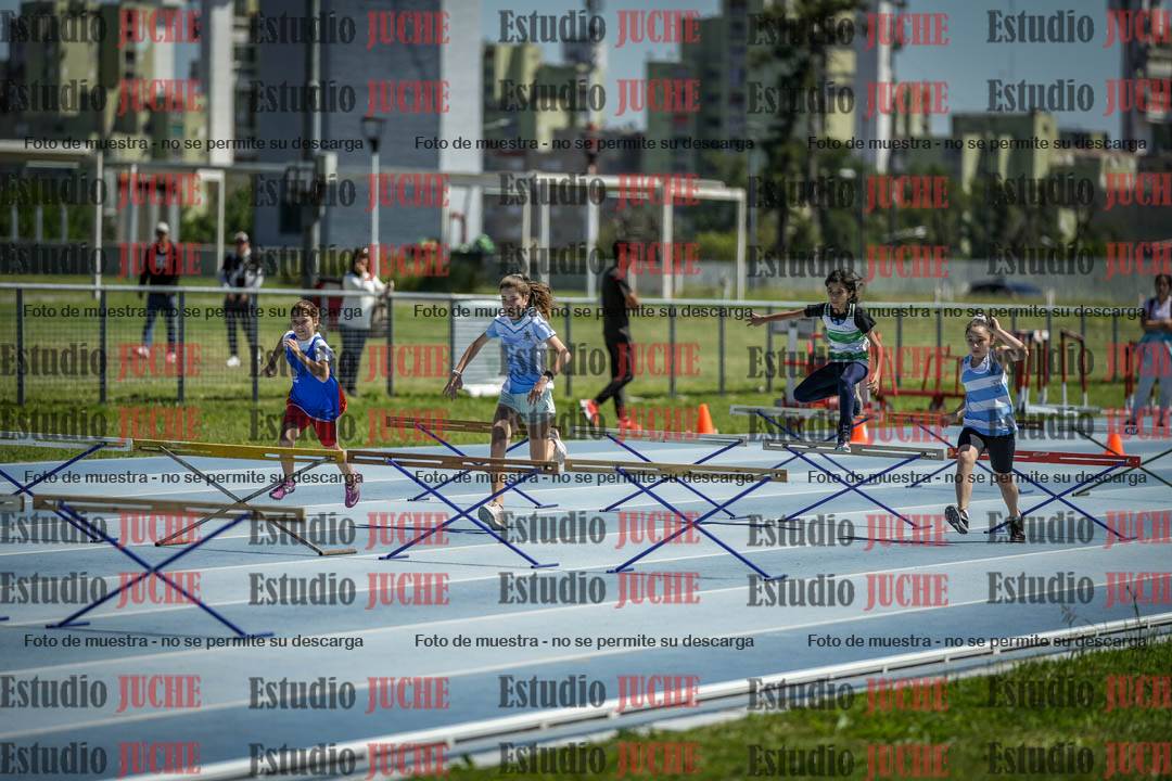 Fotos de los 60 m con vallas de mujeres