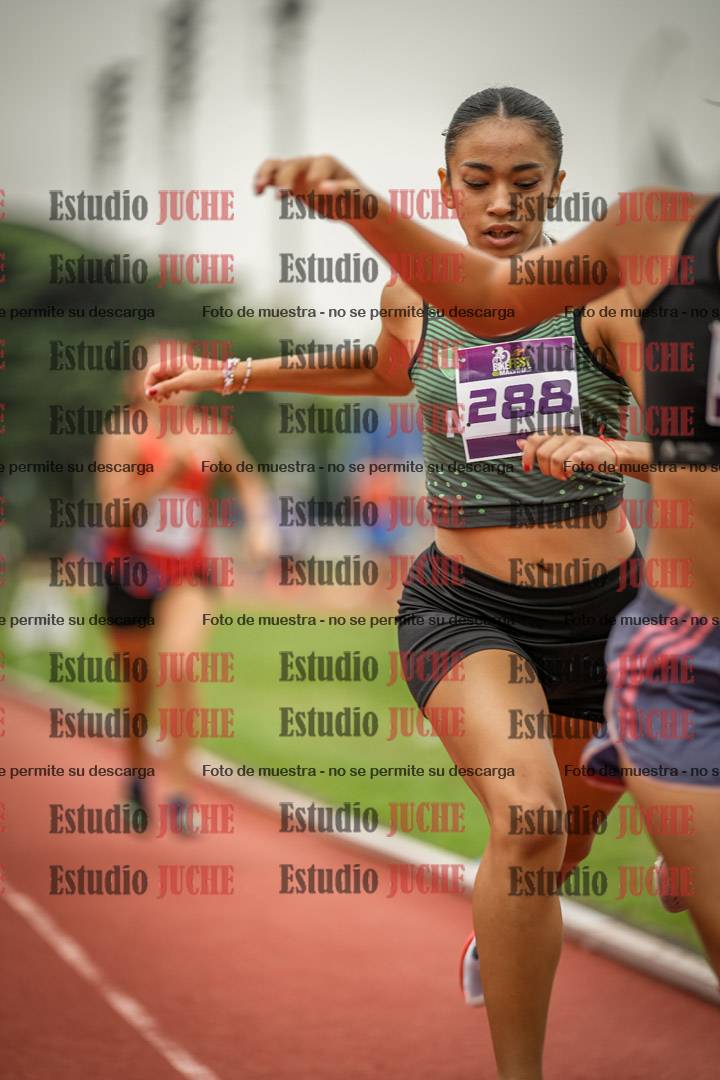 Fotos de los 800 m llanos de mujeres