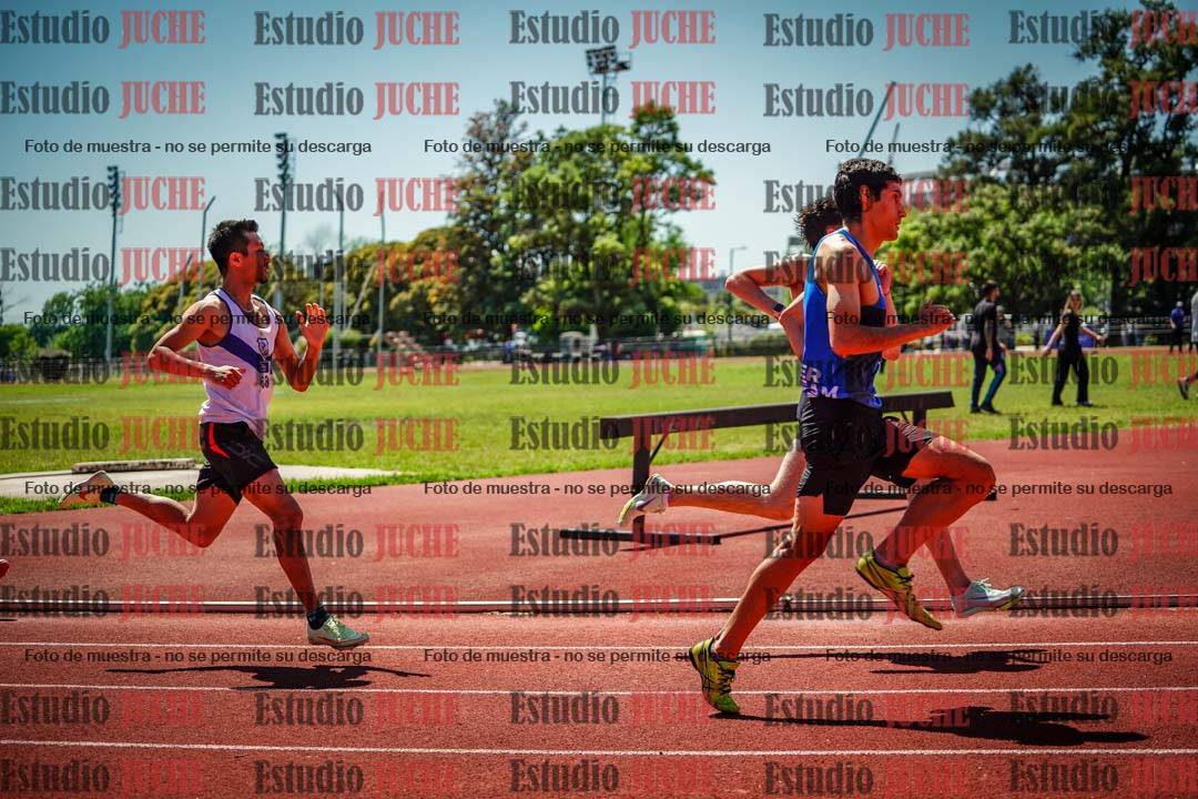 Fotos de los 800 m llanos de varones