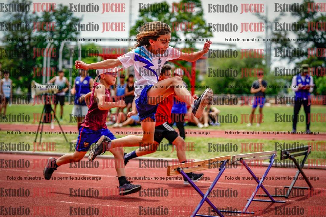 Fotos de los 60 m con vallas de varones