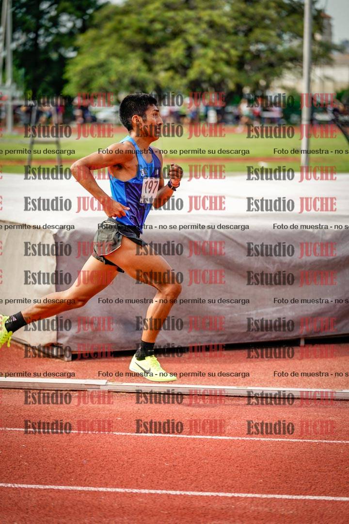 Fotos de los 3000 m llanos de varones