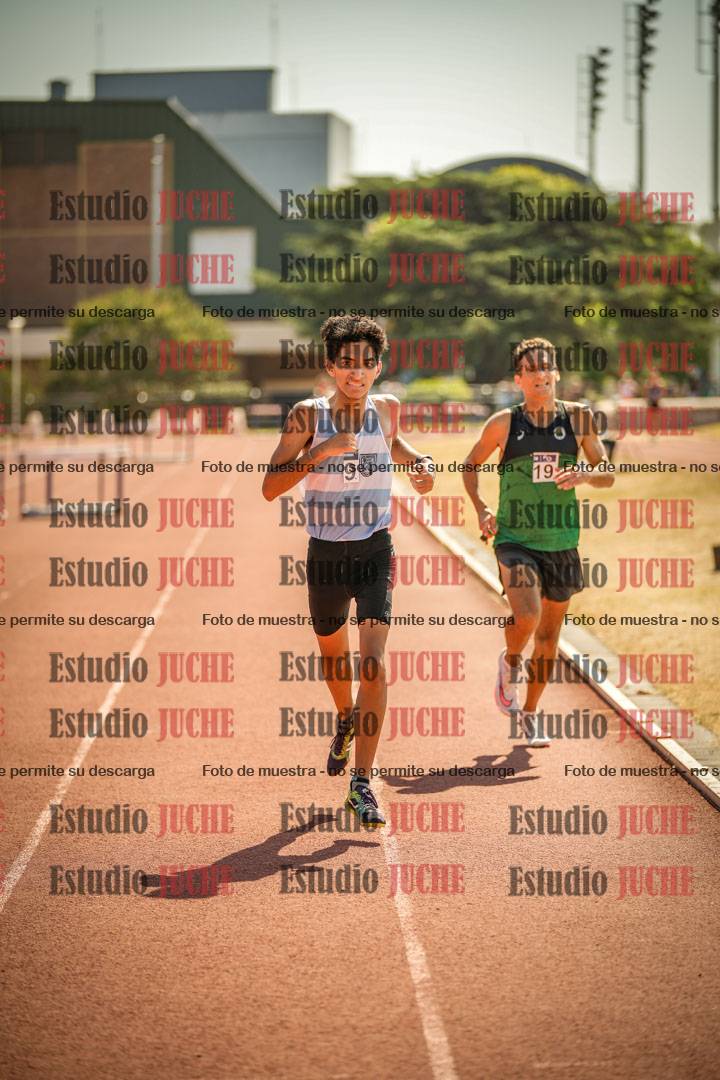Fotos de los 3000 m llanos de varones