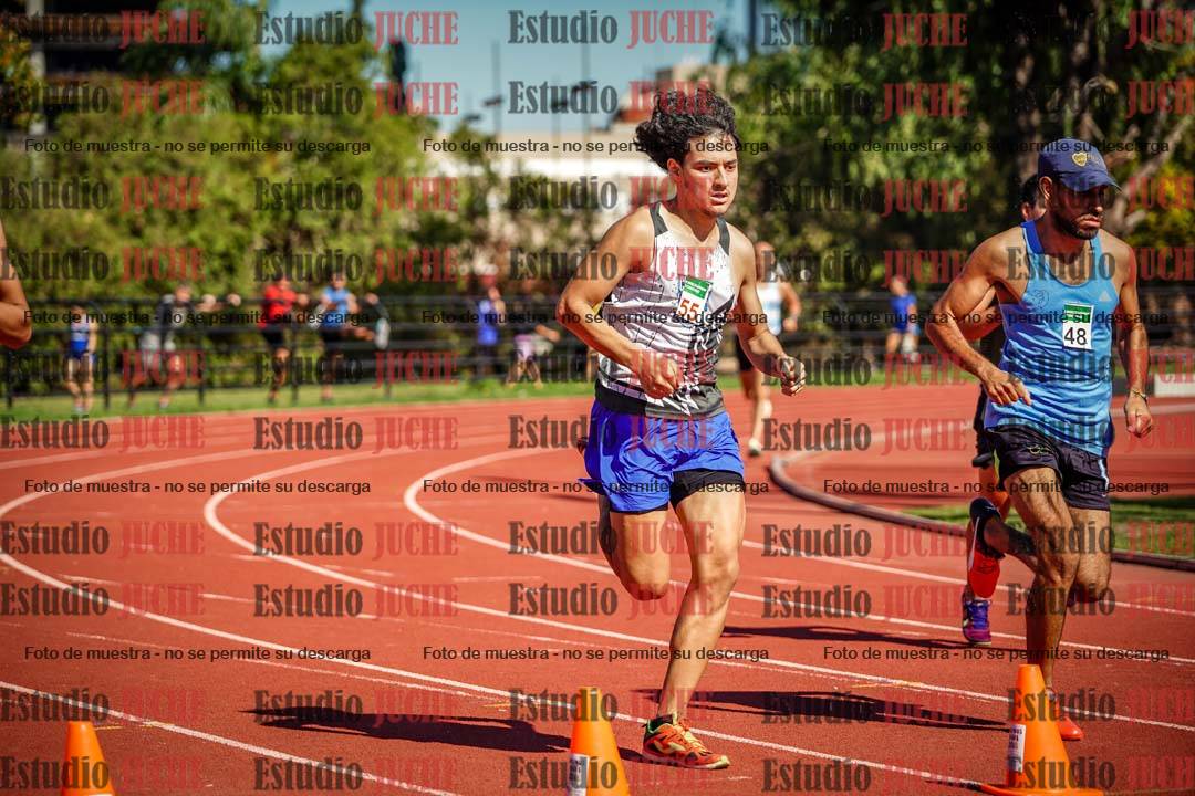 Fotos de los 800 m llanos de varones