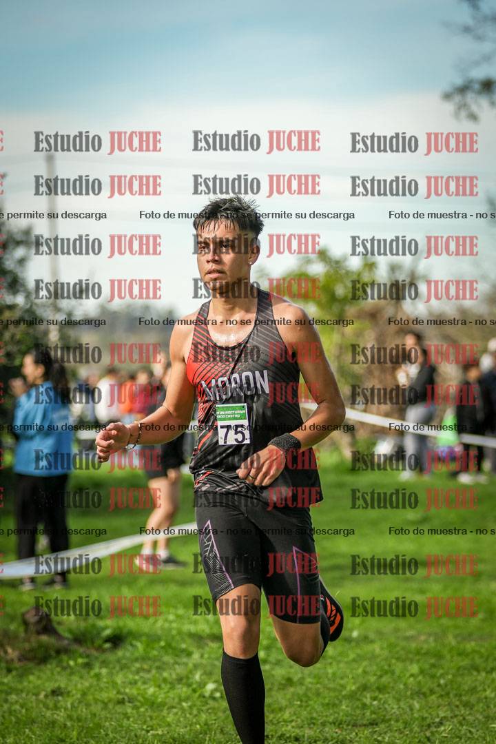Fotos de la llegada del cross de 6000 m