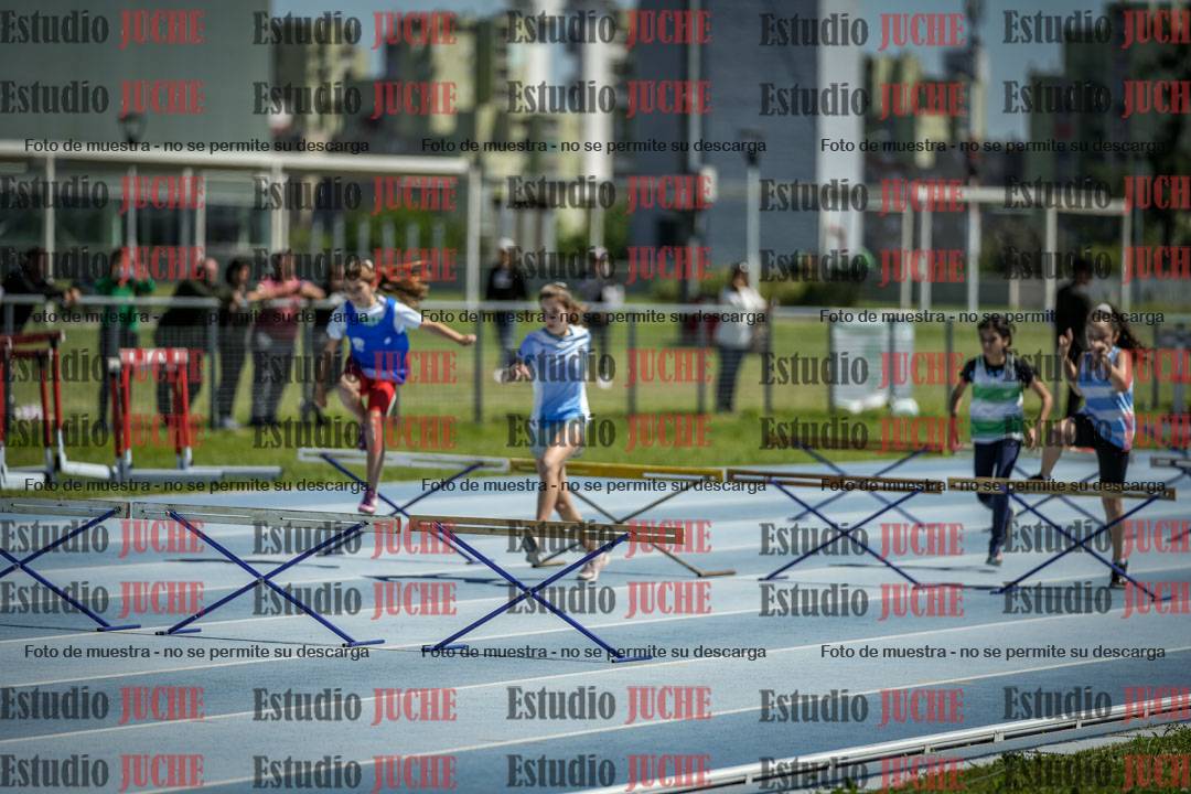 Fotos de los 60 m con vallas de mujeres
