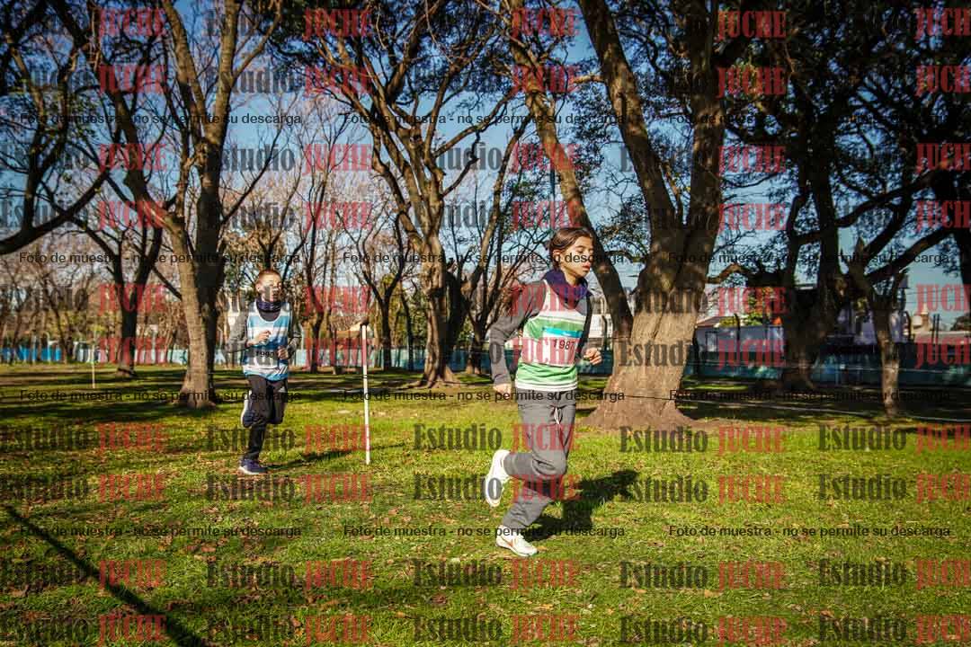 Fotos en el circuito