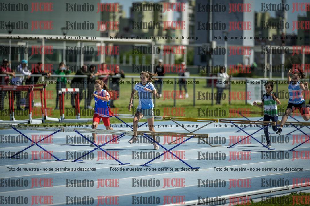 Fotos de los 60 m con vallas de mujeres