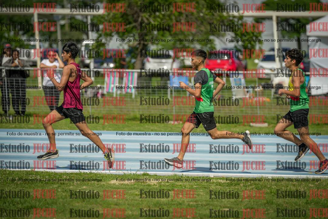 Fotos de los 1000 m llanos de varones