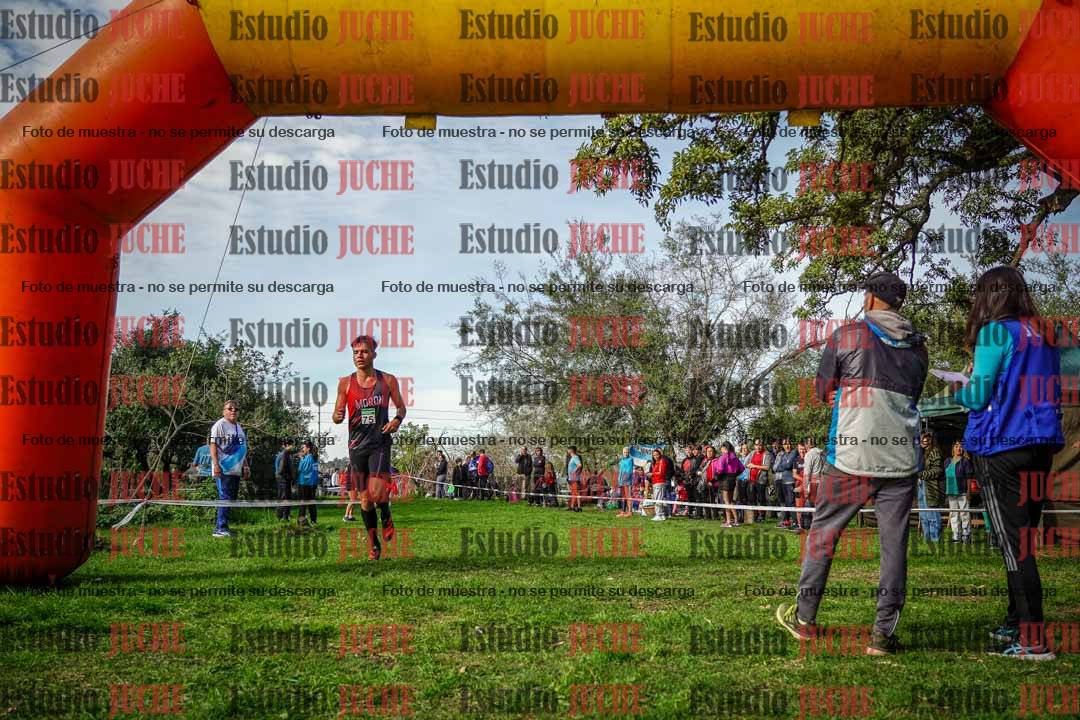 Fotos de la llegada del cross de 6000 m
