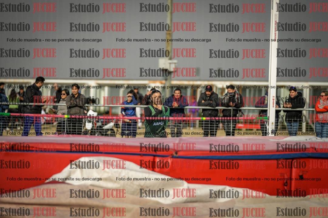Fotos del salto en alto de mujeres