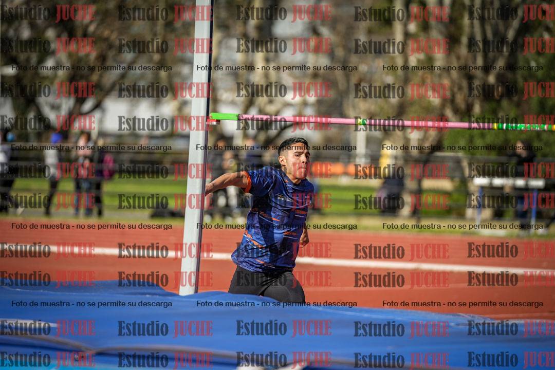 Fotos del salto en alto - todos los grupos