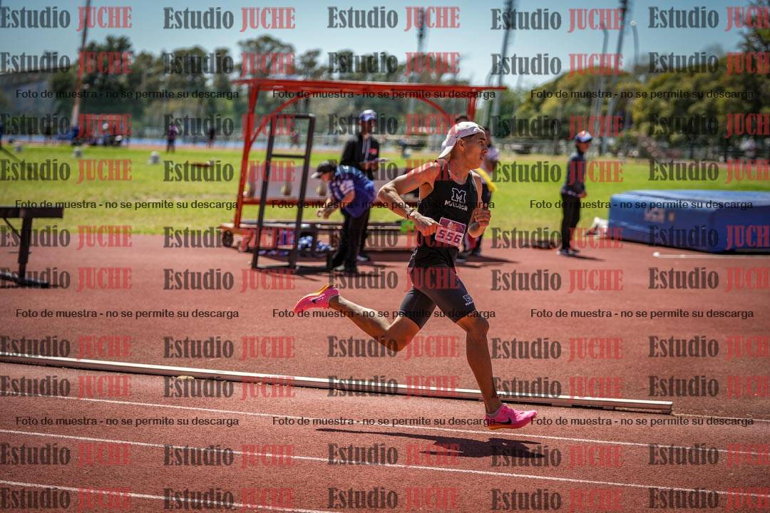 Fotos de los 800 m llanos de varones