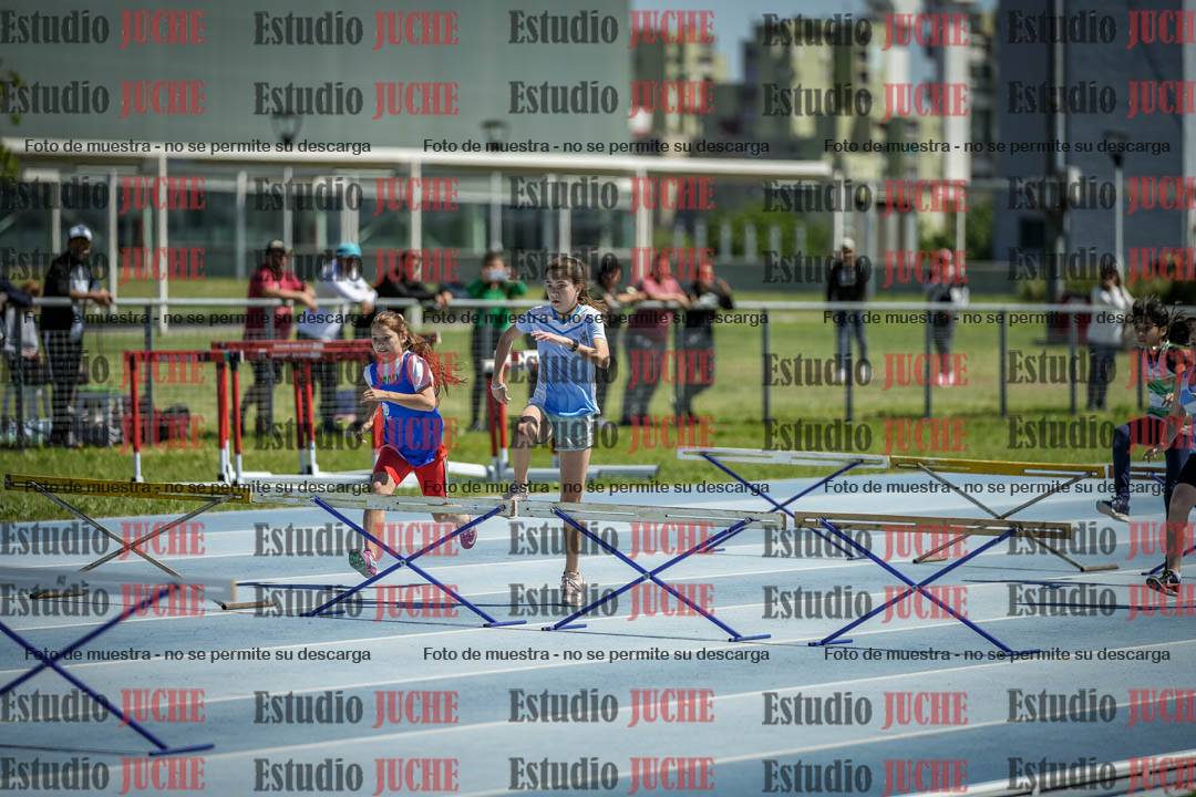 Fotos de los 60 m con vallas de mujeres