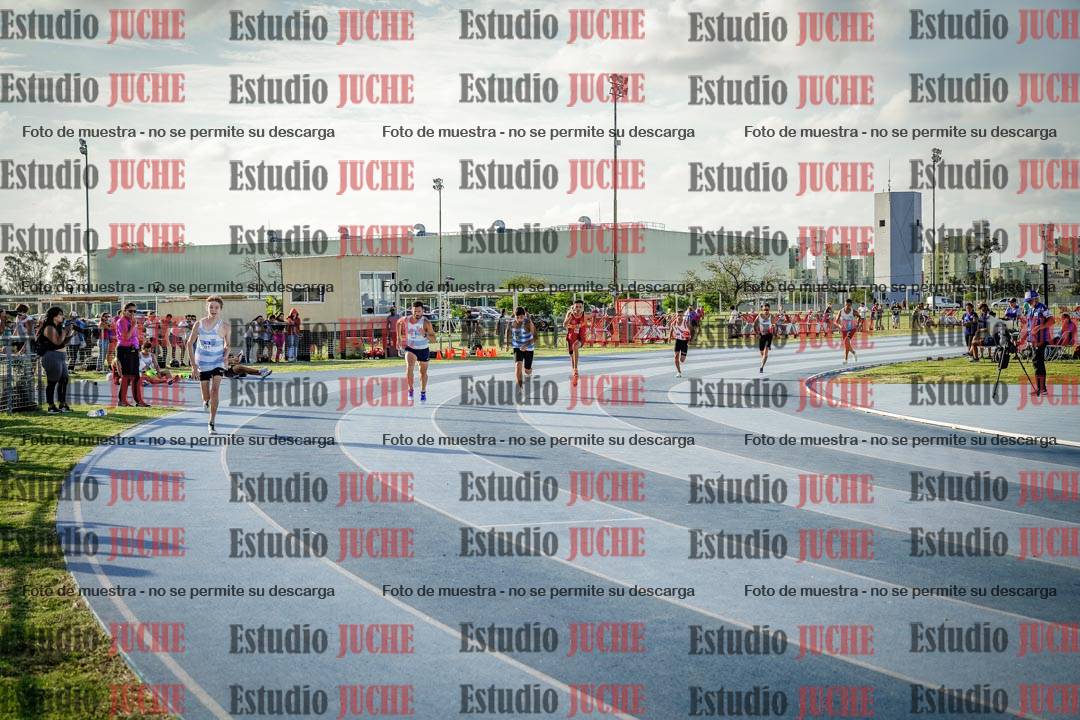 Fotos de los 800 m llanos de varones