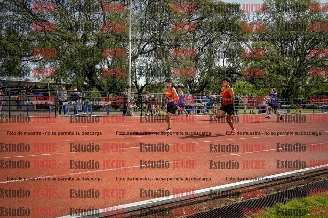 Fotos de los 80 m llanos de varones