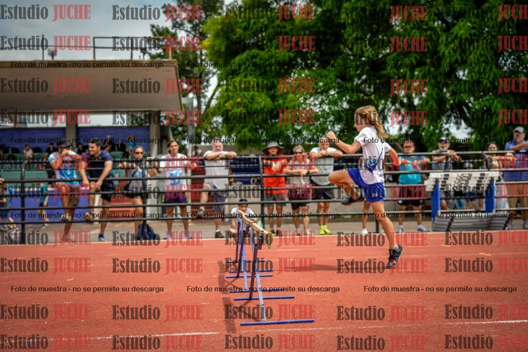 Fotos de los 60 m con vallas de varones