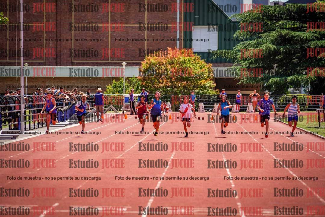 Fotos de los 80 m llanos de varones