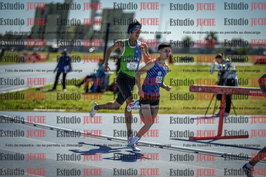 Fotos de los 800 m llanos de varones