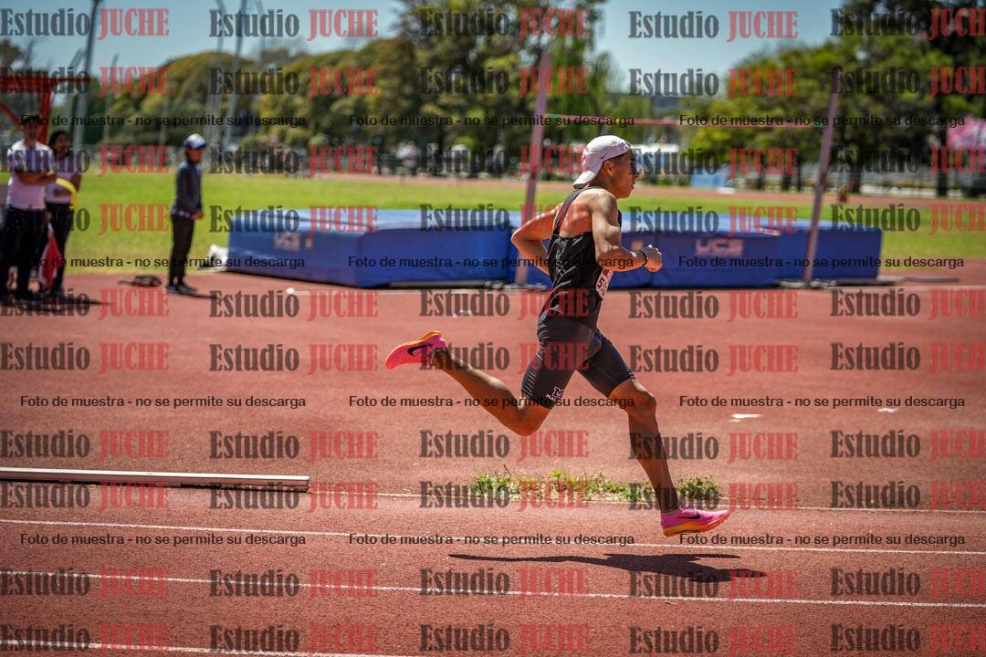 Fotos de los 800 m llanos de varones