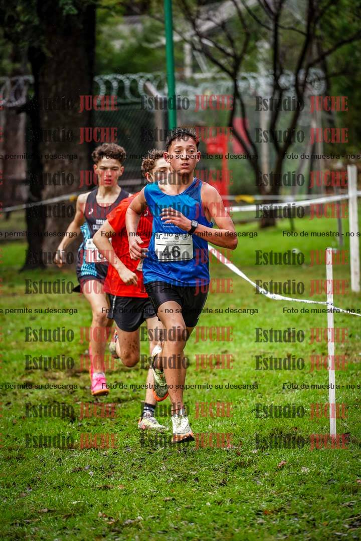 Fotos en el circuito