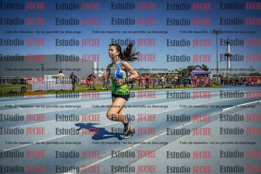 Fotos de los 800 m llanos de mujeres