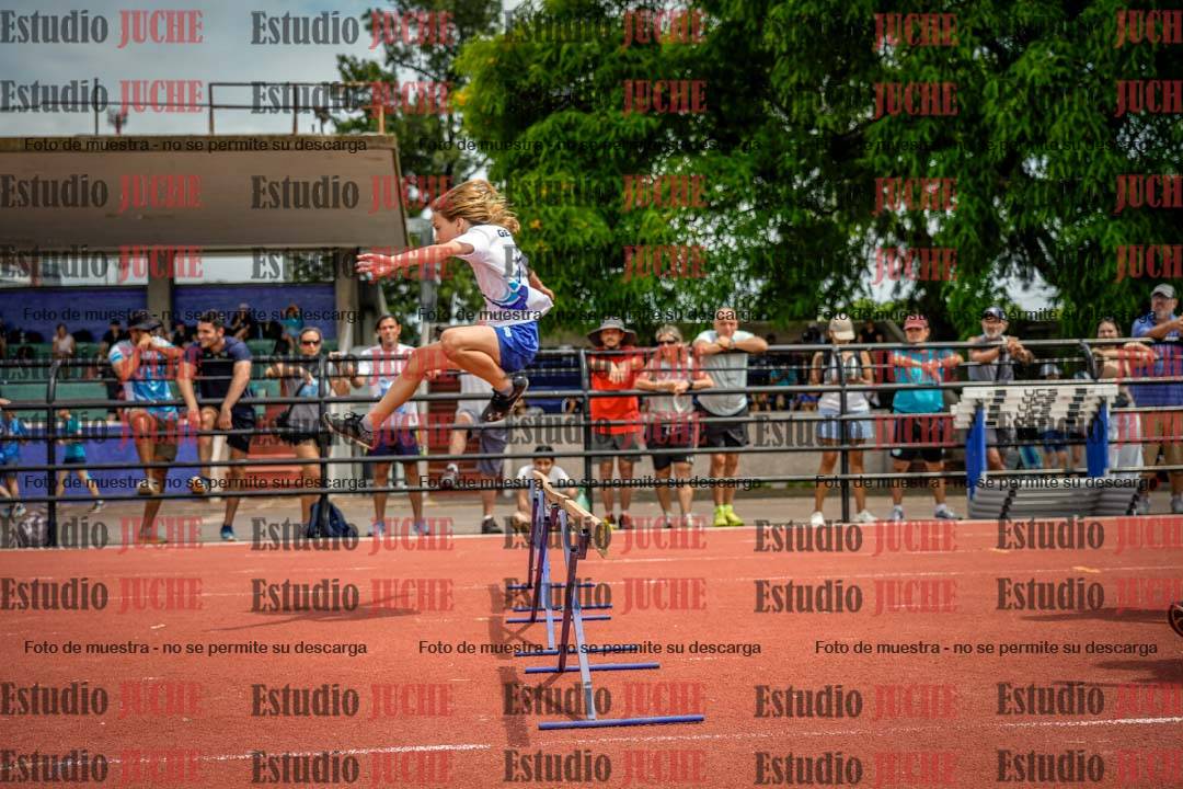 Fotos de los 60 m con vallas de varones