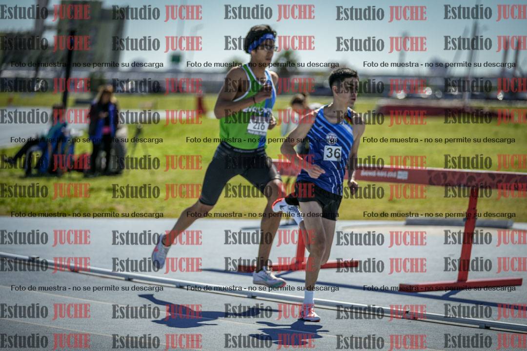 Fotos de los 800 m llanos de varones