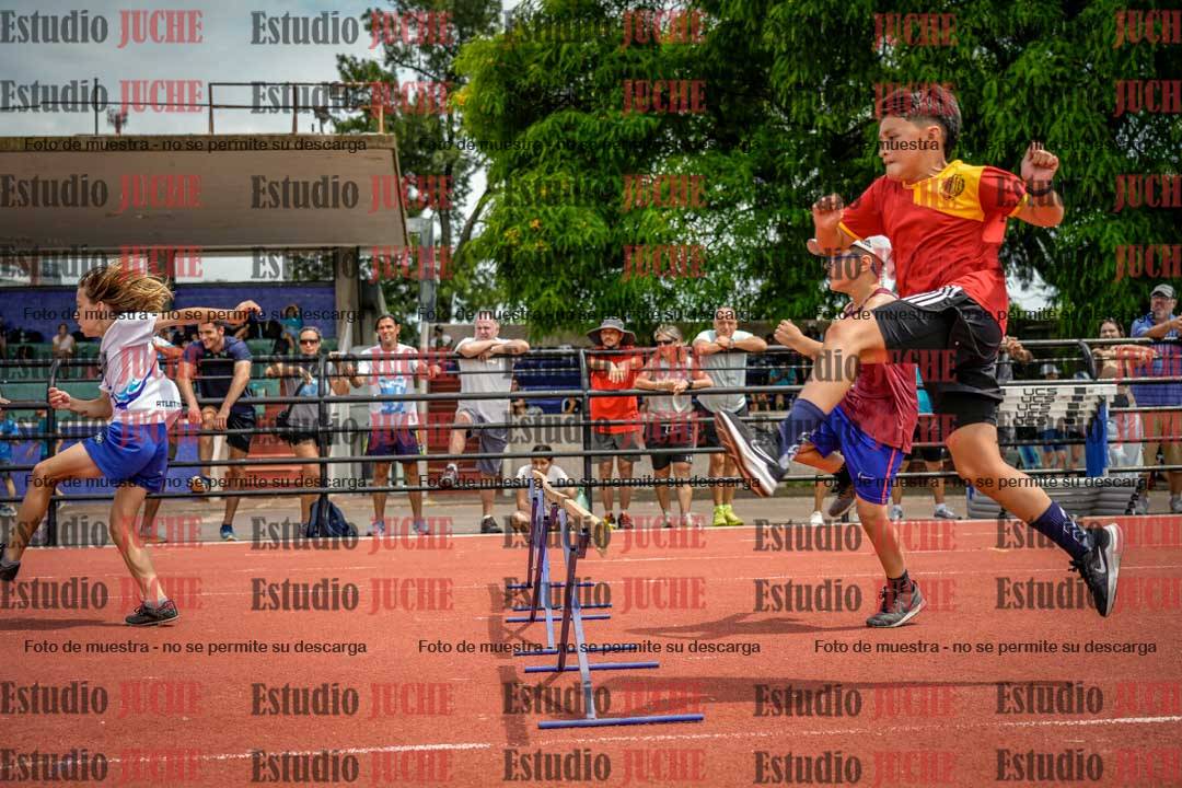 Fotos de los 60 m con vallas de varones