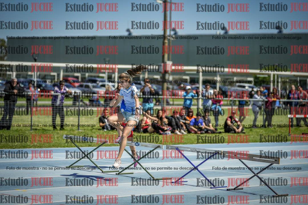 Fotos de los 60 m con vallas de mujeres
