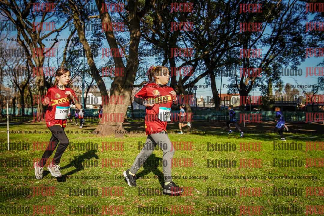 Fotos en el circuito