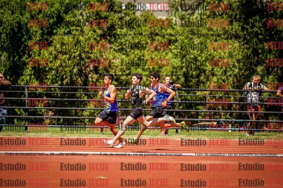 Fotos de los 800 m llanos de varones